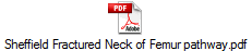 Sheffield Fractured Neck of Femur pathway.pdf