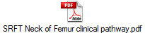 SRFT Neck of Femur clinical pathway.pdf