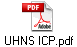 UHNS ICP.pdf