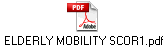 ELDERLY MOBILITY SCOR1.pdf